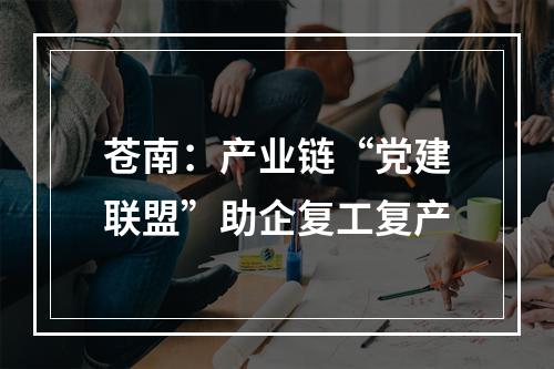 苍南：产业链“党建联盟”助企复工复产