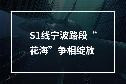 S1线宁波路段“花海”争相绽放