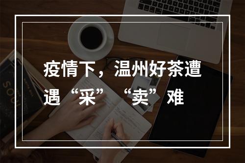疫情下，温州好茶遭遇“采”“卖”难