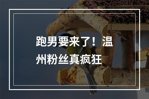 跑男要来了！温州粉丝真疯狂