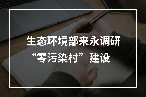 生态环境部来永调研“零污染村”建设