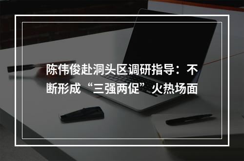 陈伟俊赴洞头区调研指导：不断形成“三强两促”火热场面