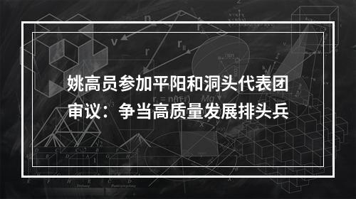 姚高员参加平阳和洞头代表团审议：争当高质量发展排头兵