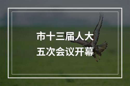市十三届人大五次会议开幕