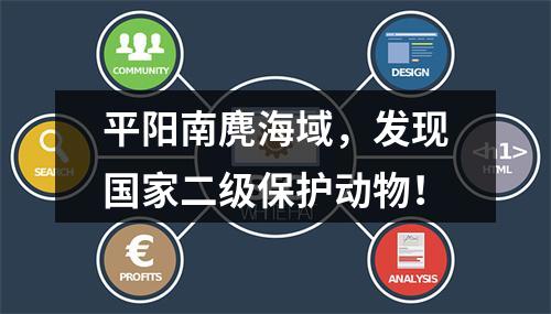 平阳南麂海域，发现国家二级保护动物！