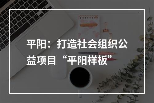 平阳：打造社会组织公益项目“平阳样板”