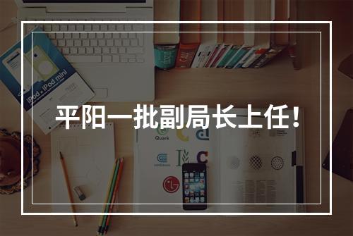 平阳一批副局长上任！