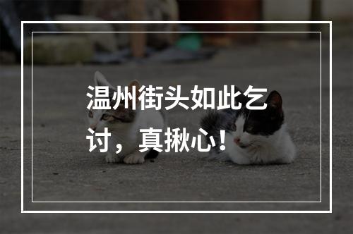 温州街头如此乞讨，真揪心！