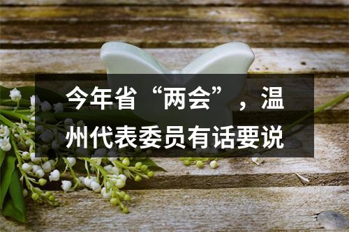 今年省“两会”，温州代表委员有话要说