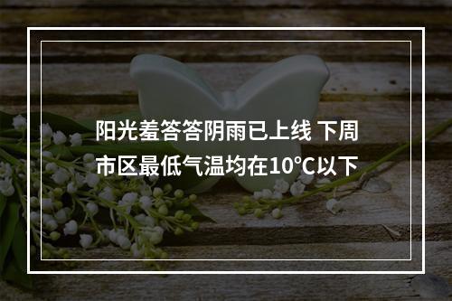 阳光羞答答阴雨已上线 下周市区最低气温均在10℃以下