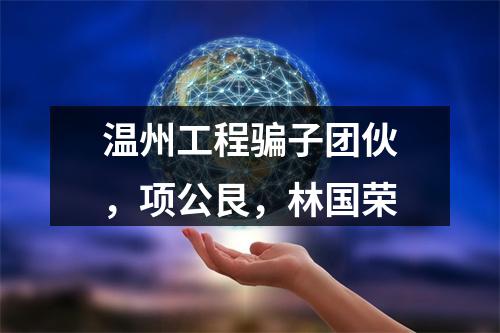 温州工程骗子团伙，项公艮，林国荣