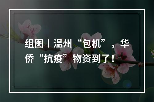 组图丨温州“包机”，华侨“抗疫”物资到了！