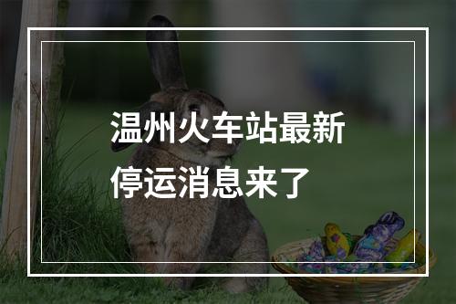温州火车站最新停运消息来了