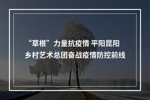 “草根”力量抗疫情 平阳昆阳乡村艺术总团奋战疫情防控前线