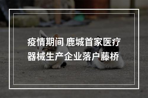 疫情期间 鹿城首家医疗器械生产企业落户藤桥
