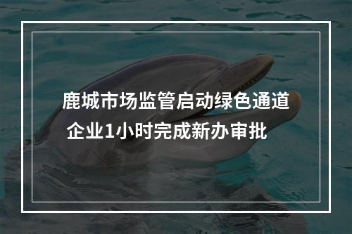 鹿城市场监管启动绿色通道 企业1小时完成新办审批