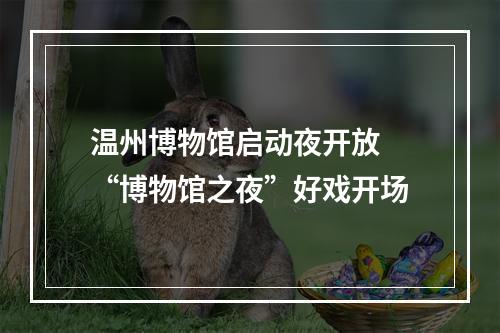 温州博物馆启动夜开放 “博物馆之夜”好戏开场