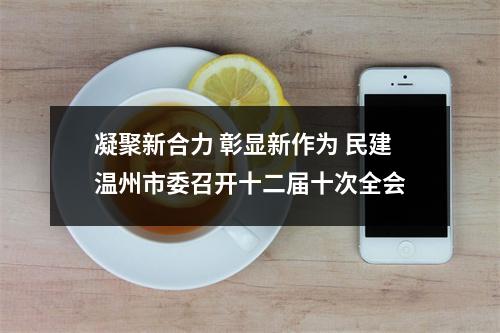 凝聚新合力 彰显新作为 民建温州市委召开十二届十次全会