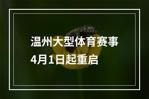 温州大型体育赛事4月1日起重启
