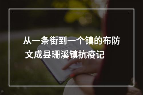 从一条街到一个镇的布防 文成县珊溪镇抗疫记