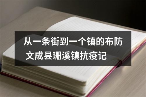 从一条街到一个镇的布防 文成县珊溪镇抗疫记