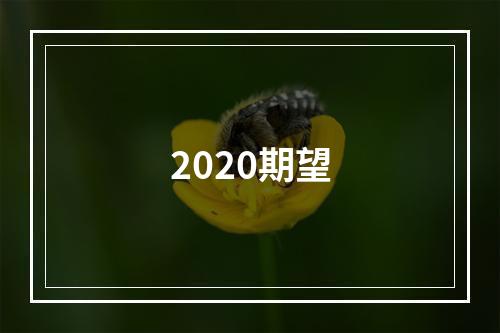 2020期望