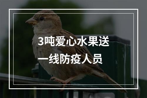 3吨爱心水果送一线防疫人员