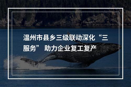 温州市县乡三级联动深化“三服务” 助力企业复工复产