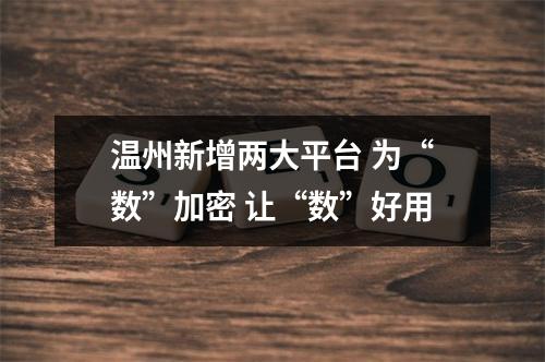 温州新增两大平台 为“数”加密 让“数”好用