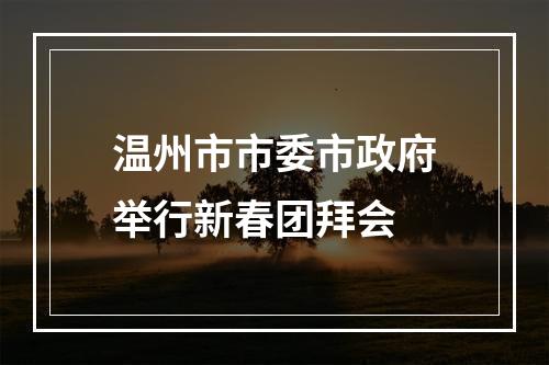 温州市市委市政府举行新春团拜会