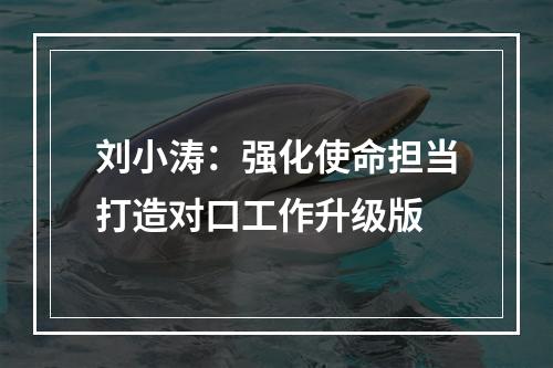 刘小涛：强化使命担当打造对口工作升级版