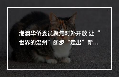 港澳华侨委员聚焦对外开放 让“世界的温州”阔步“走出”新精彩