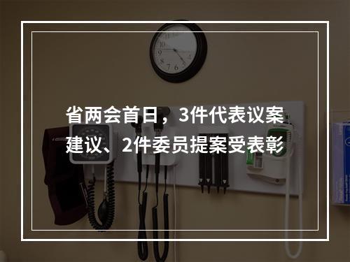 省两会首日，3件代表议案建议、2件委员提案受表彰