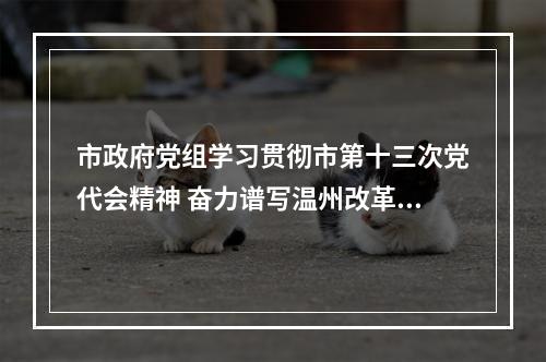 市政府党组学习贯彻市第十三次党代会精神 奋力谱写温州改革发展新篇章