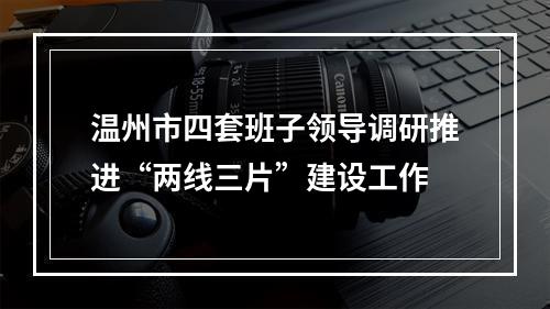温州市四套班子领导调研推进“两线三片”建设工作