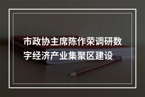 市政协主席陈作荣调研数字经济产业集聚区建设