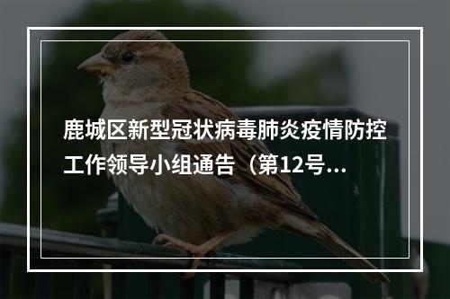 鹿城区新型冠状病毒肺炎疫情防控工作领导小组通告（第12号）