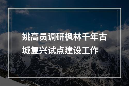 姚高员调研枫林千年古城复兴试点建设工作