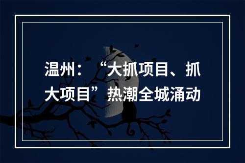 温州：“大抓项目、抓大项目”热潮全城涌动