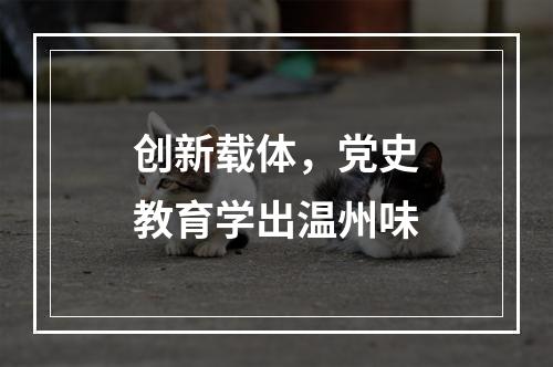 创新载体，党史教育学出温州味