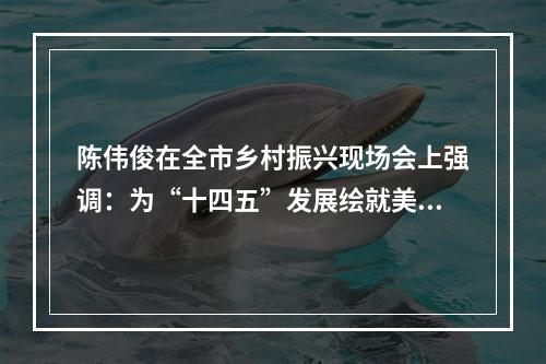 陈伟俊在全市乡村振兴现场会上强调：为“十四五”发展绘就美丽乡村画卷！
