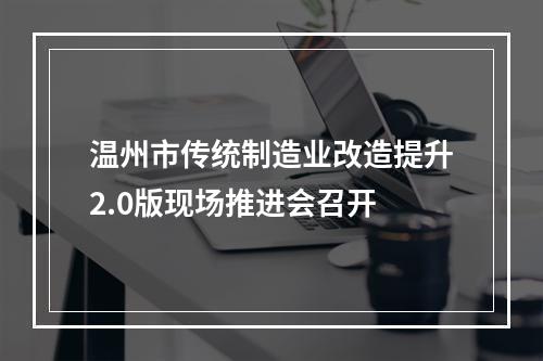 温州市传统制造业改造提升2.0版现场推进会召开