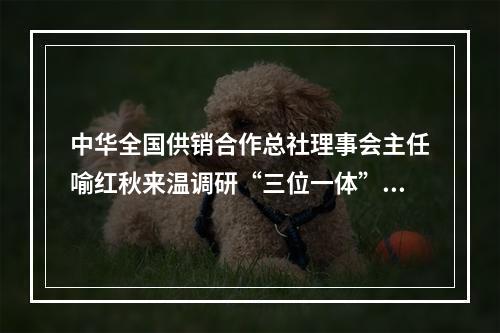 中华全国供销合作总社理事会主任喻红秋来温调研“三位一体”改革