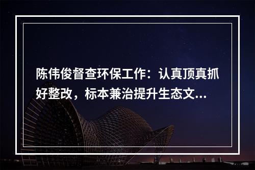 陈伟俊督查环保工作：认真顶真抓好整改，标本兼治提升生态文明建设水平