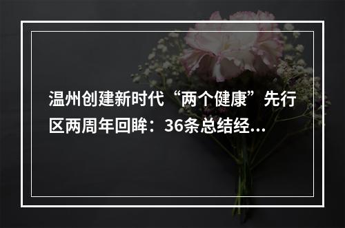 温州创建新时代“两个健康”先行区两周年回眸：36条总结经验获复制推广