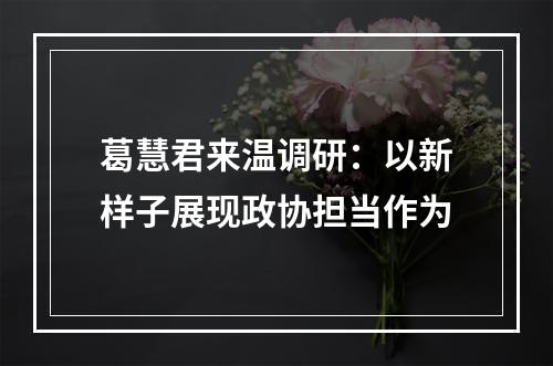 葛慧君来温调研：以新样子展现政协担当作为