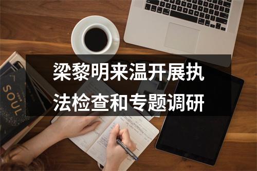 梁黎明来温开展执法检查和专题调研