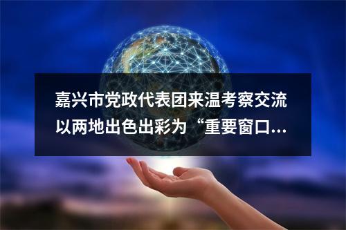 嘉兴市党政代表团来温考察交流 以两地出色出彩为“重要窗口”增光添彩