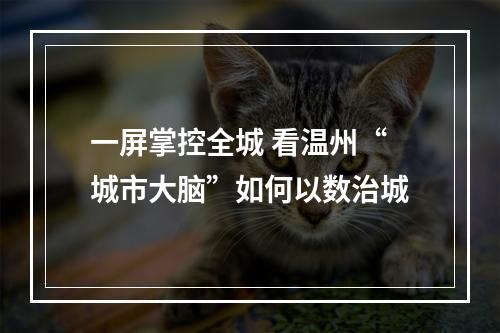 一屏掌控全城 看温州“城市大脑”如何以数治城