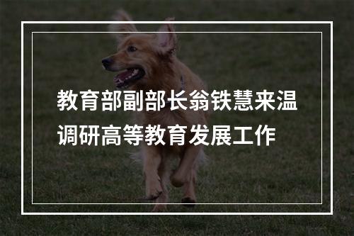 教育部副部长翁铁慧来温调研高等教育发展工作